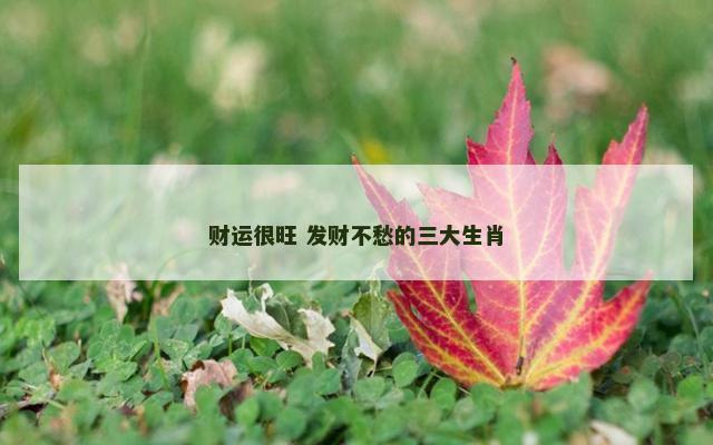 财运很旺 发财不愁的三大生肖
