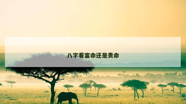 八字看富命还是贵命