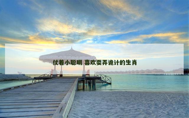 仗着小聪明 喜欢耍弄诡计的生肖