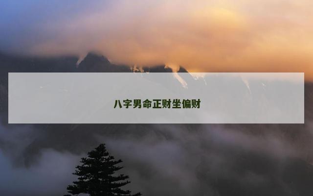 八字男命正财坐偏财