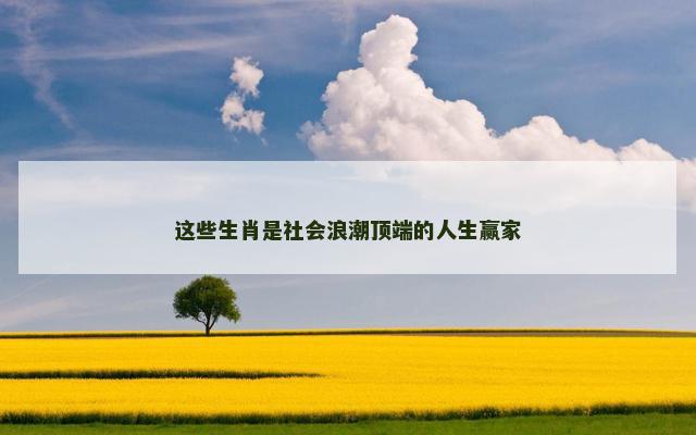 这些生肖是社会浪潮顶端的人生赢家