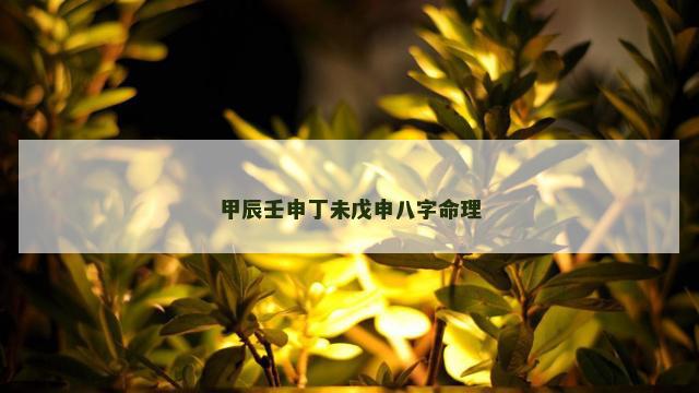 甲辰壬申丁未戊申八字命理