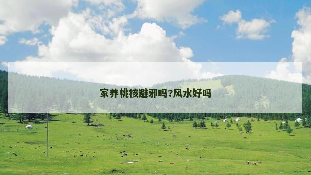 家养桃核避邪吗?风水好吗