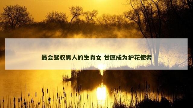最会驾驭男人的生肖女 甘愿成为护花使者