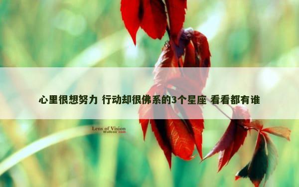 心里很想努力 行动却很佛系的3个星座 看看都有谁