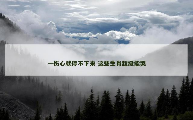 一伤心就停不下来 这些生肖超级能哭