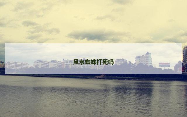 风水蜘蛛打死吗