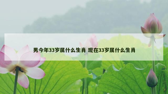 男今年33岁属什么生肖 现在33岁属什么生肖