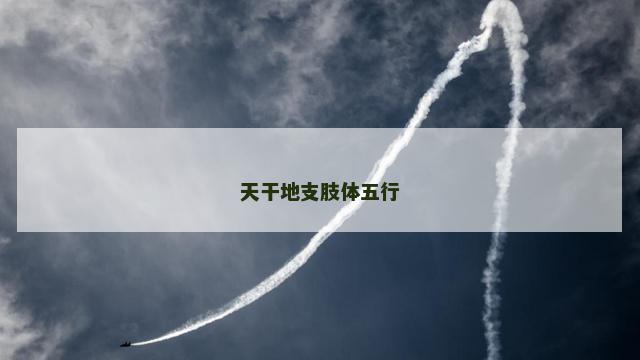 天干地支肢体五行