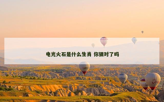 电光火石是什么生肖 你猜对了吗