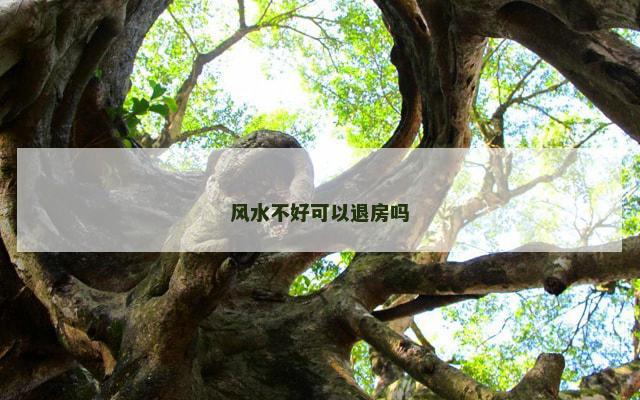 风水不好可以退房吗