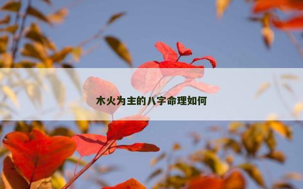 木火为主的八字命理如何