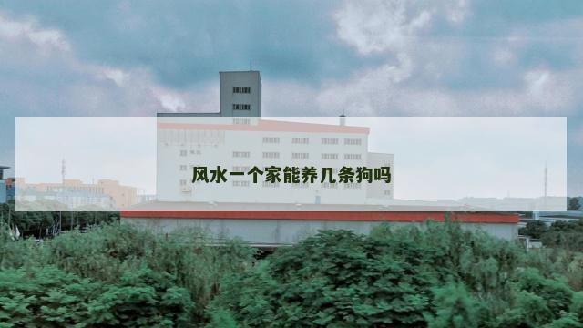 风水一个家能养几条狗吗