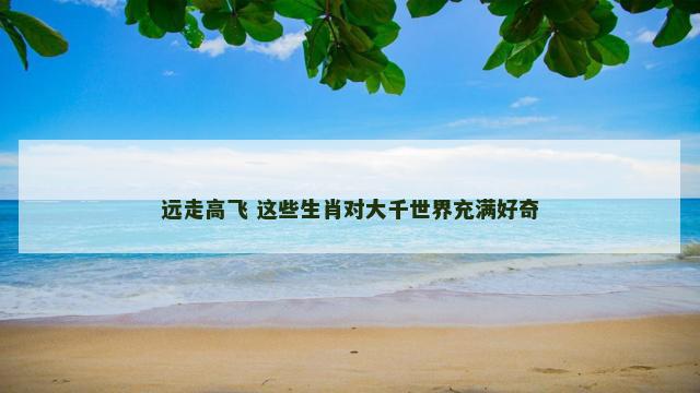 远走高飞 这些生肖对大千世界充满好奇