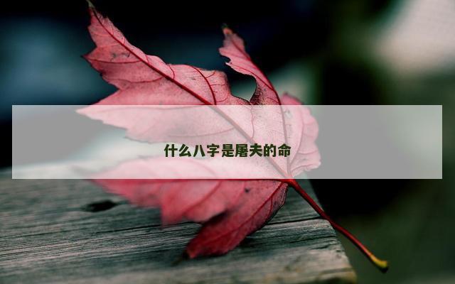 什么八字是屠夫的命