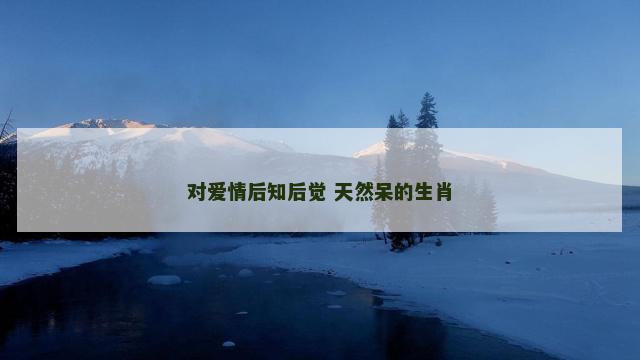 对爱情后知后觉 天然呆的生肖