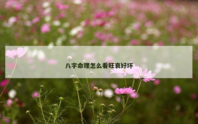 八字命理怎么看旺衰好坏