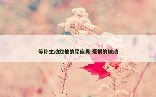 等你主动找他的星座男 爱情的被动