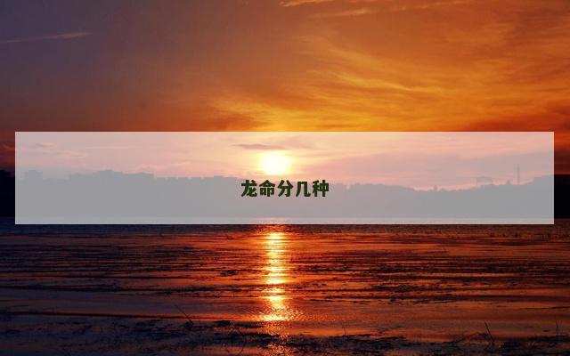 龙命分几种