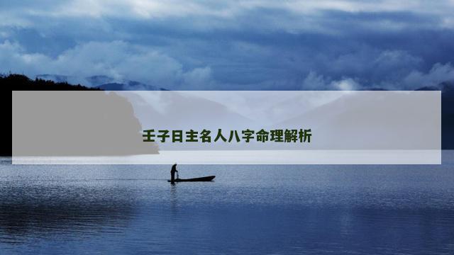 壬子日主名人八字命理解析