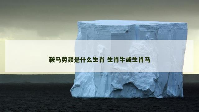 鞍马劳顿是什么生肖 生肖牛或生肖马