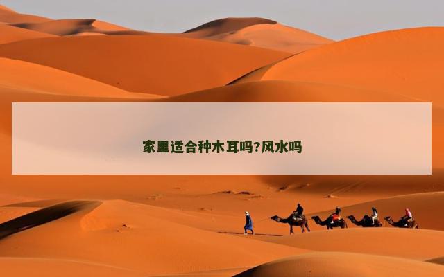 家里适合种木耳吗?风水吗
