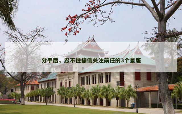 分手后，忍不住偷偷关注前任的3个星座