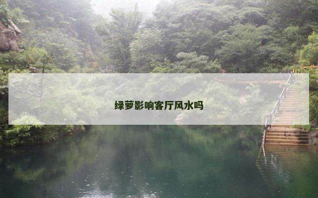 绿萝影响客厅风水吗