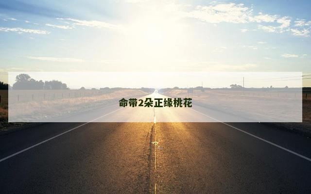 命带2朵正缘桃花
