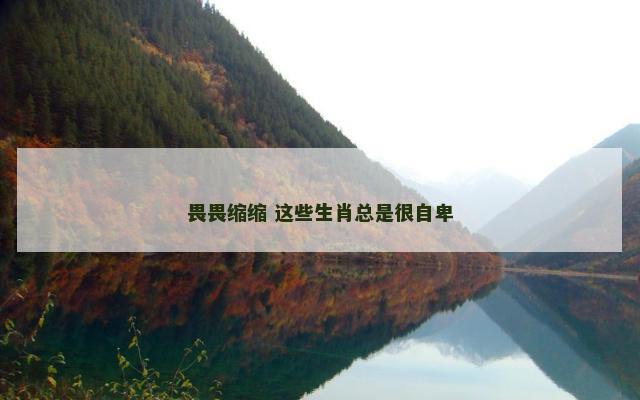 畏畏缩缩 这些生肖总是很自卑