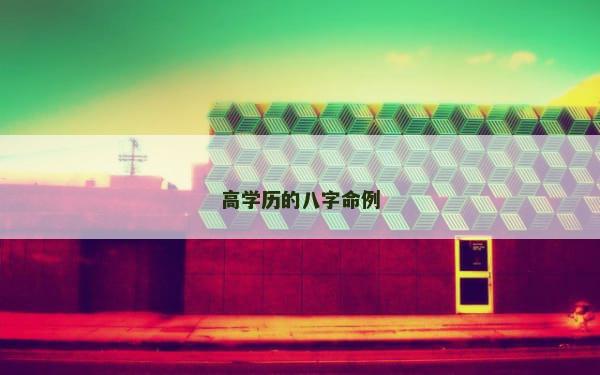 高学历的八字命例
