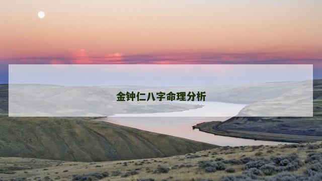 金钟仁八字命理分析