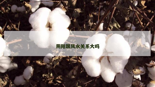 阴阳跟风水关系大吗