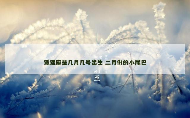 狐狸座是几月几号出生 二月份的小尾巴