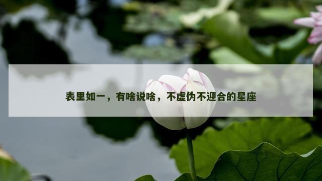 表里如一，有啥说啥，不虚伪不迎合的星座