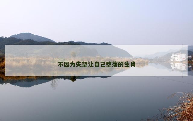 不因为失望让自己堕落的生肖
