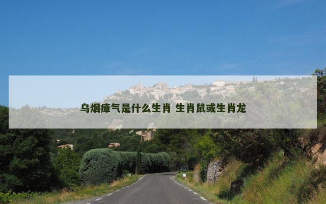 乌烟瘴气是什么生肖 生肖鼠或生肖龙