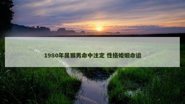 1980年属猴男命中注定 性格婚姻命运