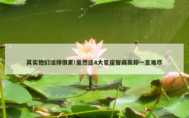 其实他们活得很累!虽然这4大星座智商高却一言难尽