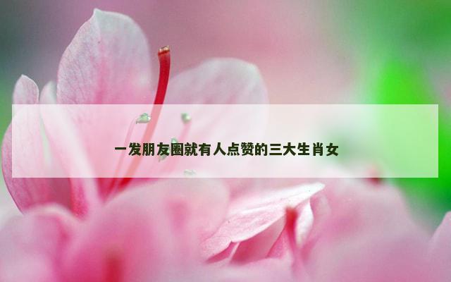 一发朋友圈就有人点赞的三大生肖女