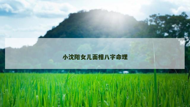 小沈阳女儿面相八字命理