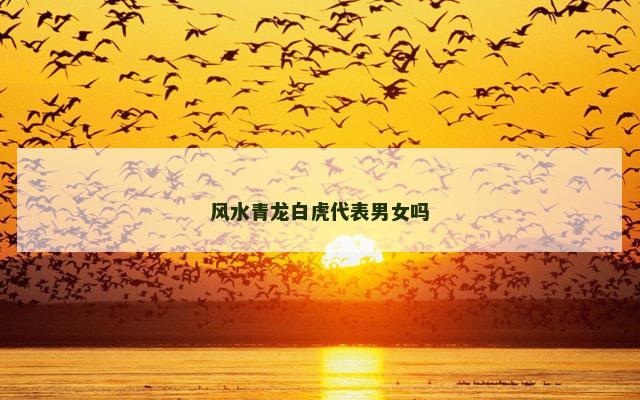 风水青龙白虎代表男女吗