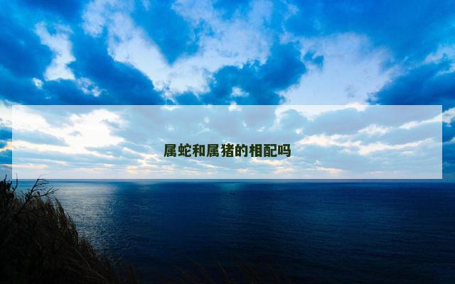 属蛇和属猪的相配吗
