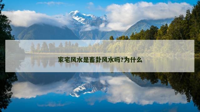 家宅风水是畜卦风水吗?为什么