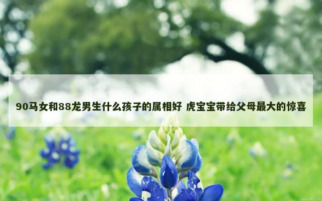 90马女和88龙男生什么孩子的属相好 虎宝宝带给父母最大的惊喜