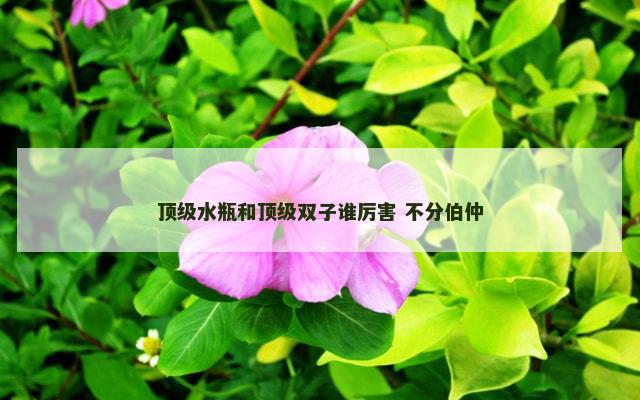顶级水瓶和顶级双子谁厉害 不分伯仲