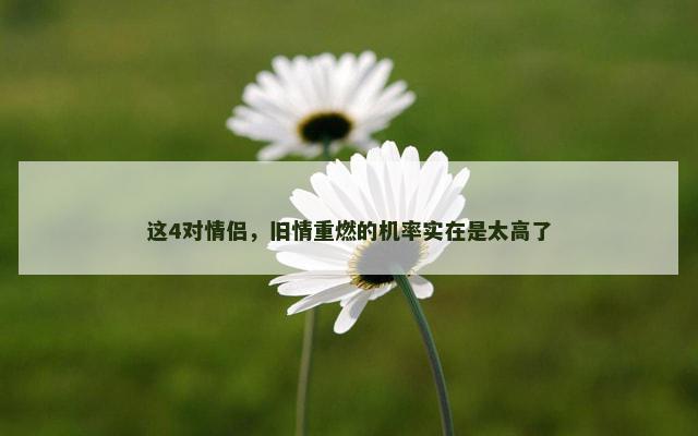 这4对情侣，旧情重燃的机率实在是太高了