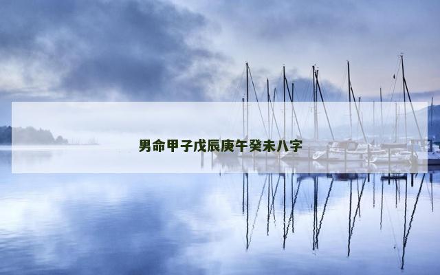 男命甲子戊辰庚午癸未八字