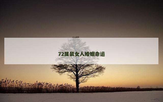 72属鼠女人婚姻命运