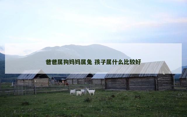 爸爸属狗妈妈属兔 孩子属什么比较好